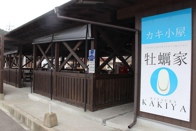 ���ӂł��C�N���m�̂��y�Y�⒋�H�Ȃǂ��[���I