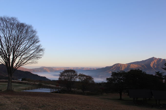 O֎R̒ɌuzeO[sA숢hv