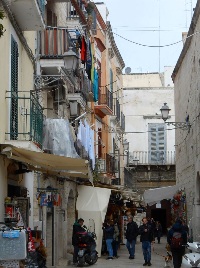 ՂŐ܂ꂽg|^uYKIbcFv