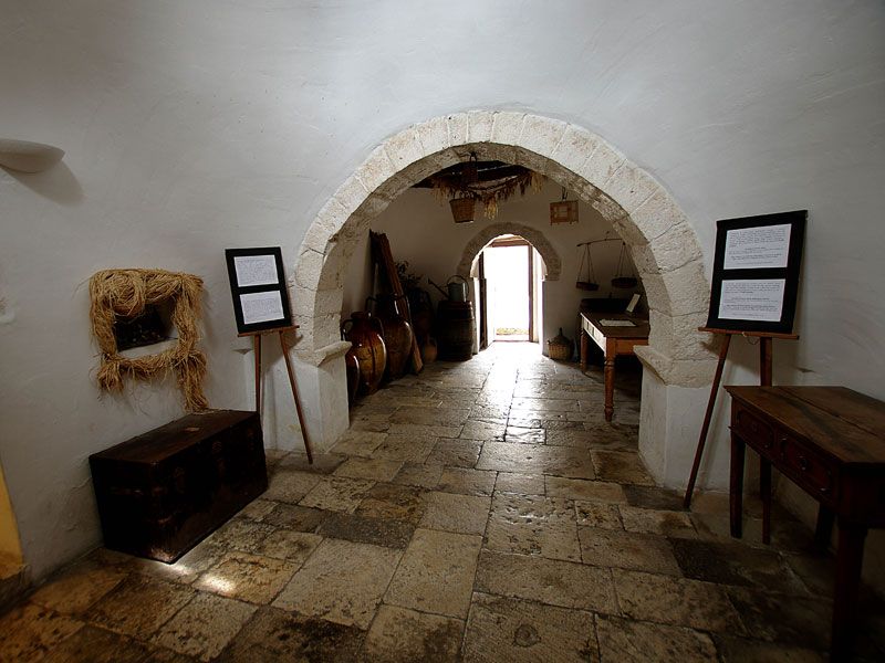 10:30�`11:30�@���̖k���ŋ���Ɣ����ق����w