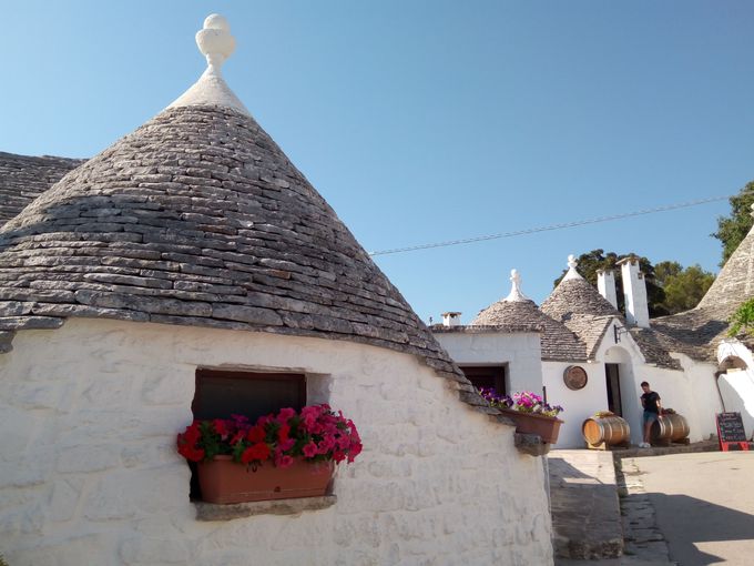 ���@���y�������g�D���b�����X�g�����Ŗ��키�I