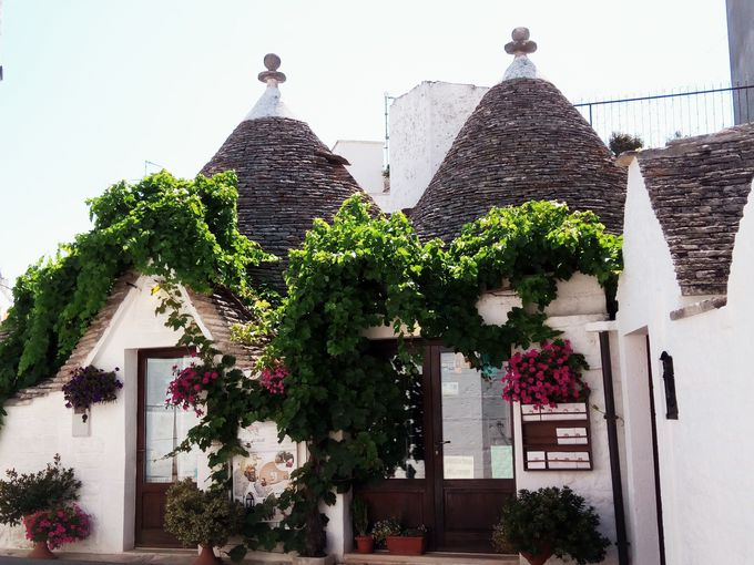 ���@���y�������g�D���b�����X�g�����Ŗ��키�I