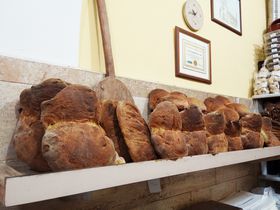 ɁEv[ABŃp̊XuA^[vKŐLTlC