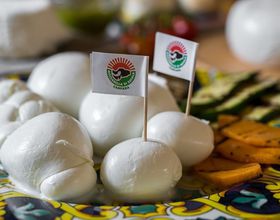 `[YӒm߁InŖ키ׂC^A`[Y5I̋LTlC