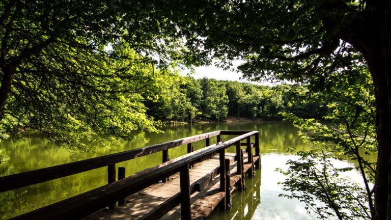 �t�H���X�^�E�E���u��