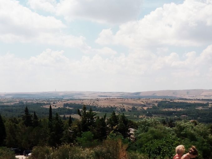 �J�X�e���E�f���E�����e