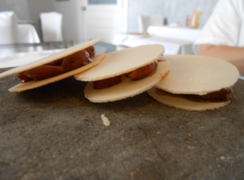 �T���E�~�P�[�������L�O��