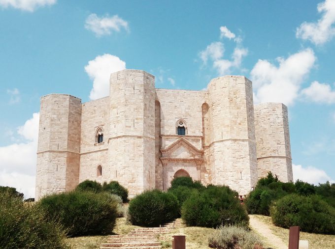 �J�X�e���E�f���E�����e