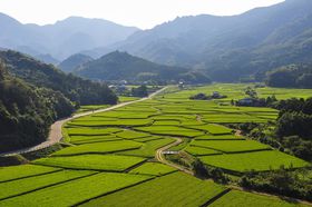 {̌iI啪ucv̌ǂ͓cڂȂ̋LTlC