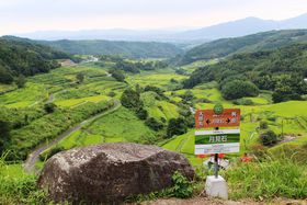 ʕ{̉BꂽinuIcvnCLOŊyދG߂̕i̋LTlC