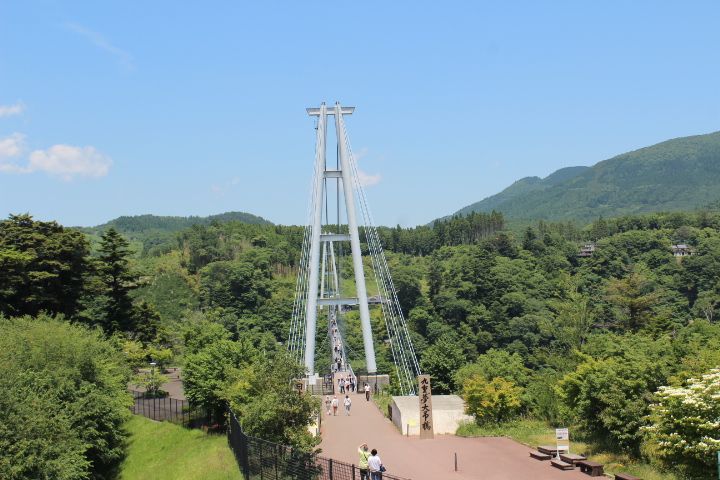 ���������Ȃ̂ŋ�d���̃O������ό����y���݂����I