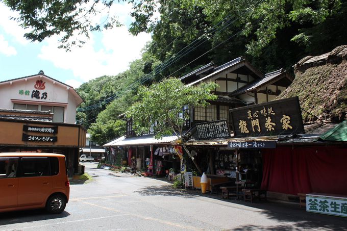 �������Ƒ؍݂��Ċy���݂�������̑�