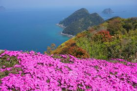 ꂽ́uvփhCuI啪s̐iX|bg̋LTlC