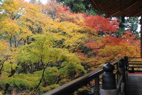 hCuŏ鍑Igt̖X|bg̋LTlC