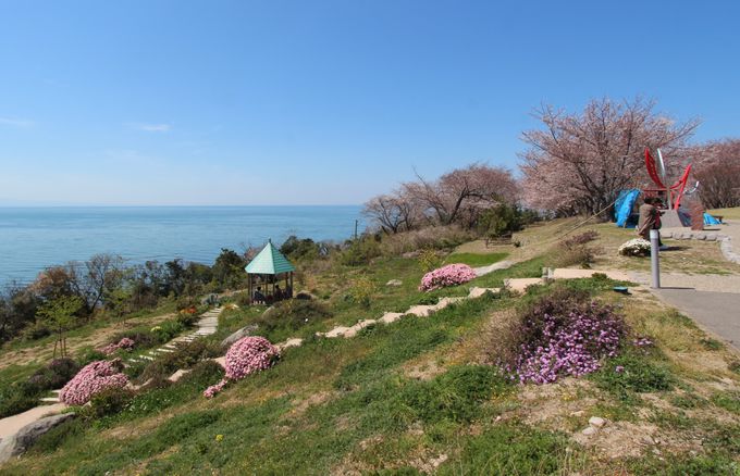 桜だけじゃない 春のお花見ドライブは大分 国東半島へ 大分県 Lineトラベルjp 旅行ガイド