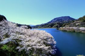 ȂIt̂ԌhCu͑啪Eւ̋LTlC