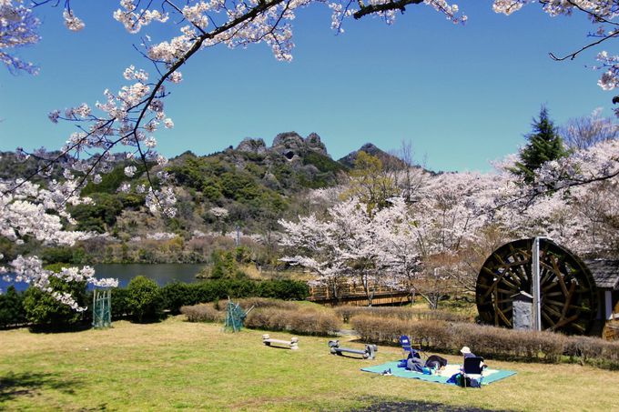 桜だけじゃない 春のお花見ドライブは大分 国東半島へ 大分県 Lineトラベルjp 旅行ガイド