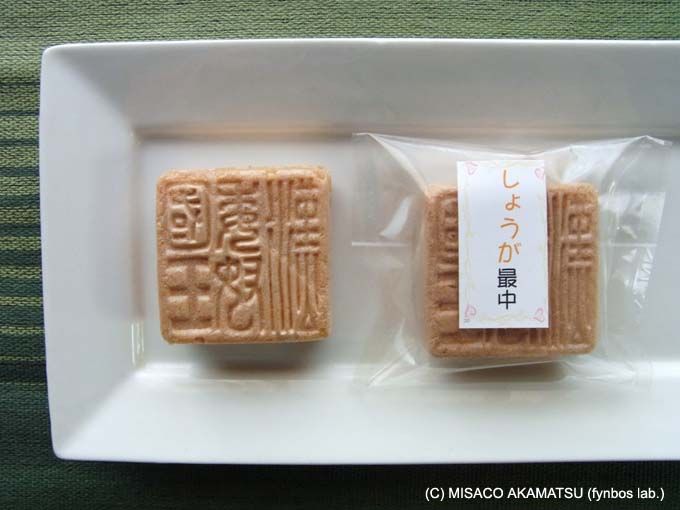 n̐IQɎgpAghfUCɏu傤Œv