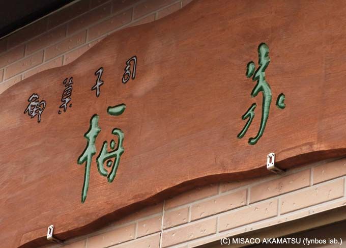 n̐IQɎgpAghfUCɏu傤Œv