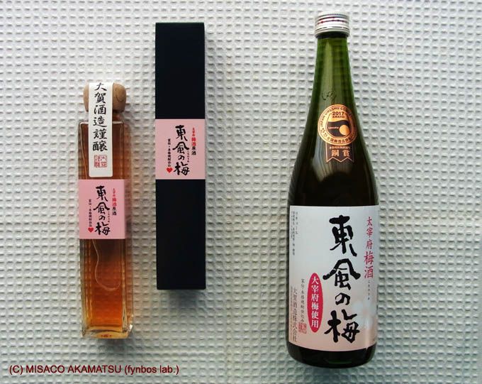 太宰府梅酒「東風の梅」はパワースポットで採れた梅の本格焼酎仕込み