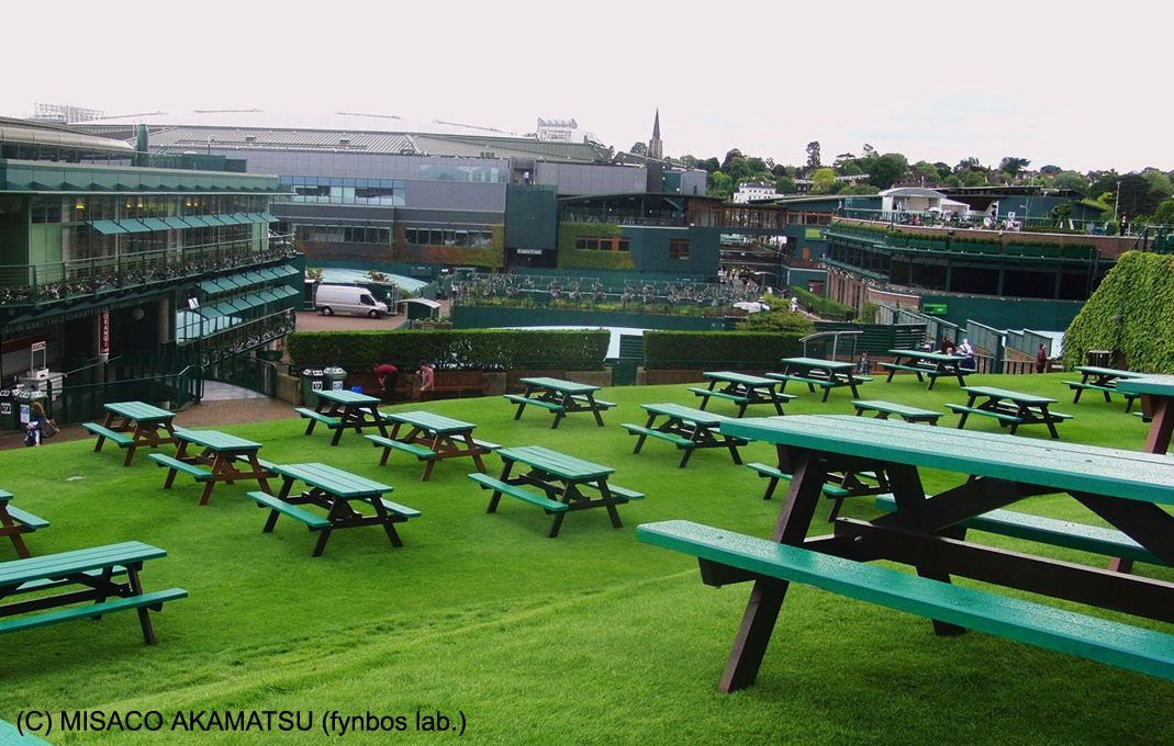 قƋɎł̃R[gƃ}[E}Egw