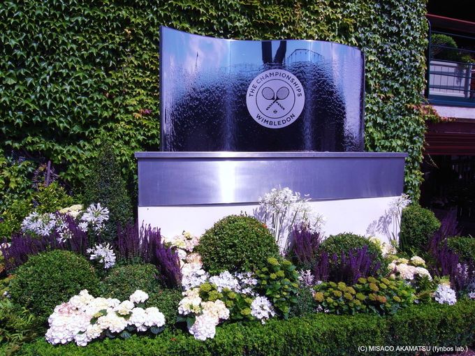 قƋɎł̃R[gƃ}[E}Egw