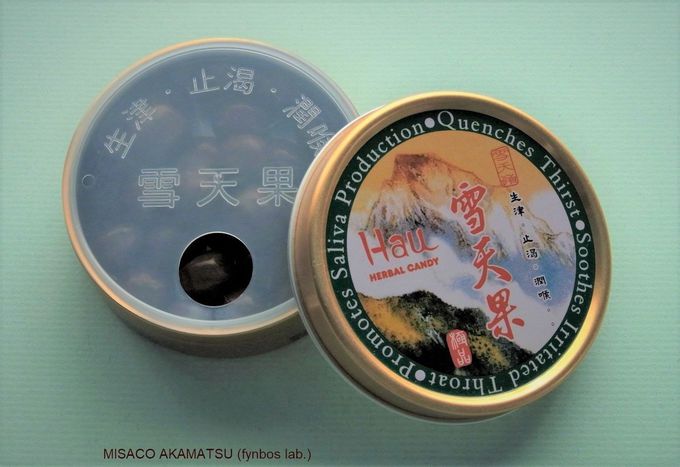 ̂悤Ȗ{ihûǈEVʁvAǖ͌ɋꂵ⁉