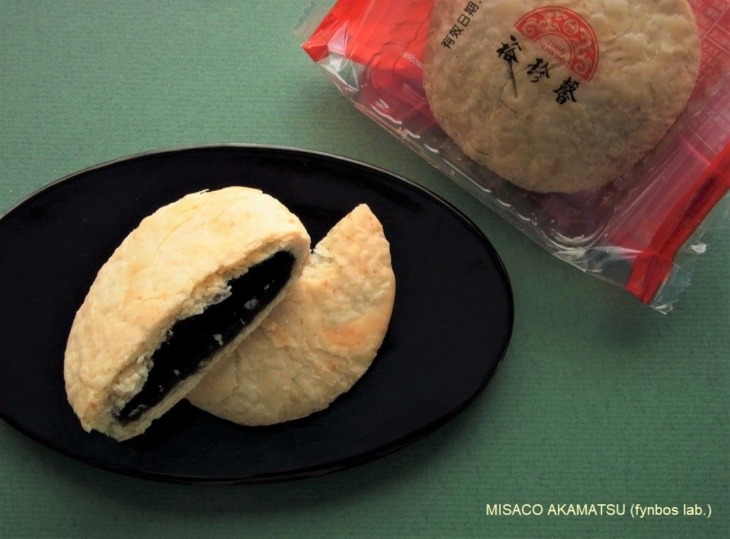 ͂̂锠ɁAӖu{Ɩ݁vMbVI