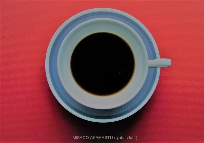 pȂł͂̍ƐĨoXANuɂ͊uIv