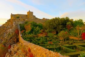 Rɂ鋫̑I|gKu}@Iv̋LTlC