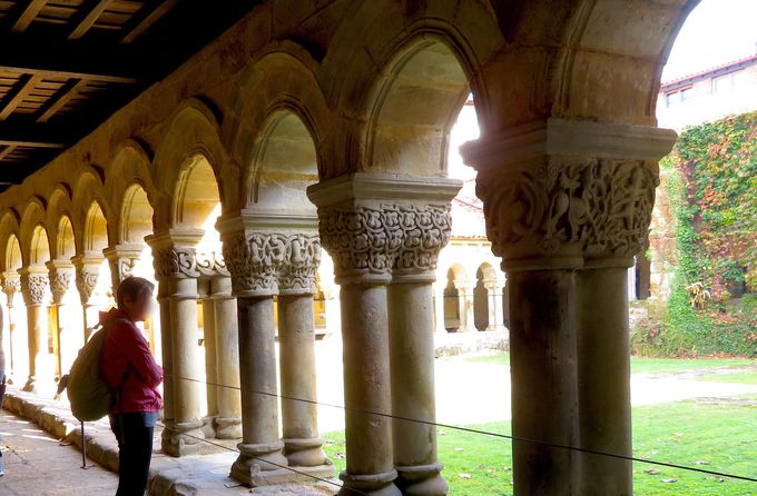 j[Nȓ̒Ɉ͂܂ꂽ̃V{