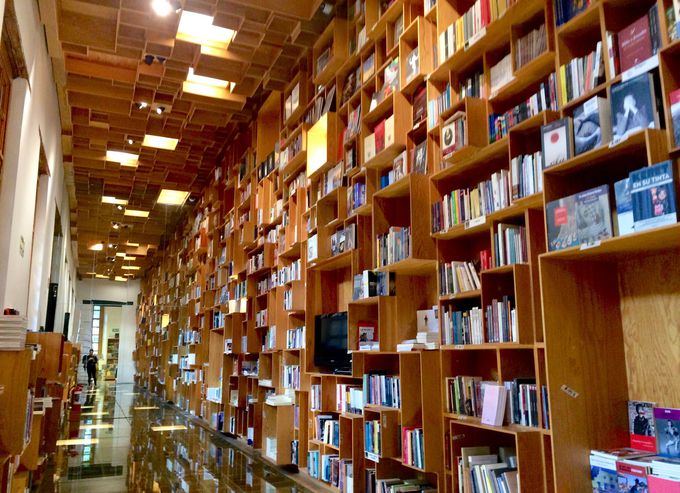 ԊOҁI360xlpɈ͂܂ꂽ{uAnhEbVv