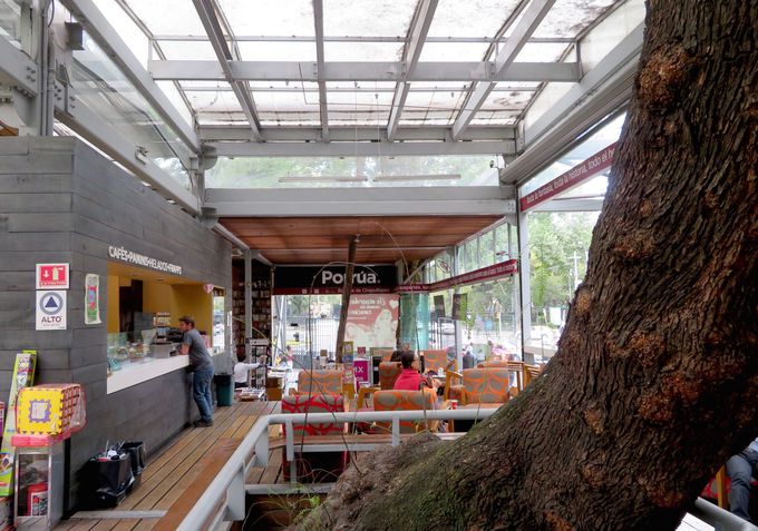 ΂𒭂߂Ȃy߂u|[A `veybNXv