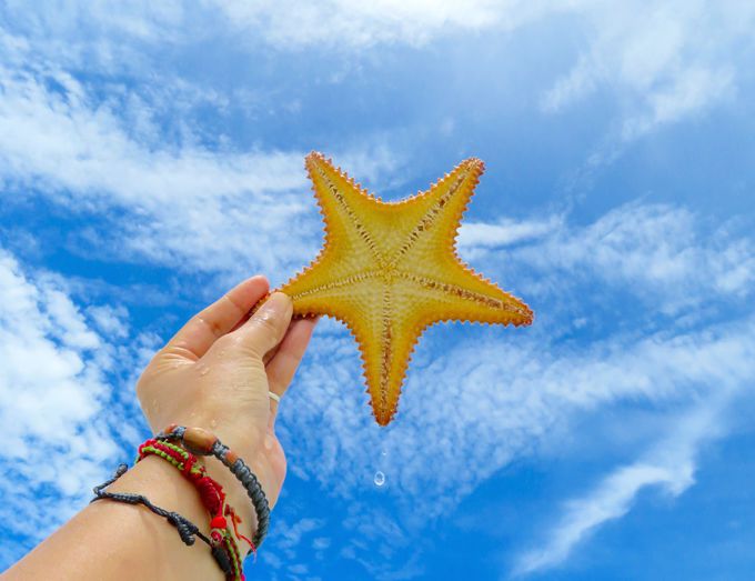 カリブ海に浮かぶ島々 パナマ サン ブラス諸島 パナマ Lineトラベルjp 旅行ガイド