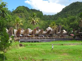 今も伝統文化を残すインドネシアの桃源郷「タナ・トラジャ」