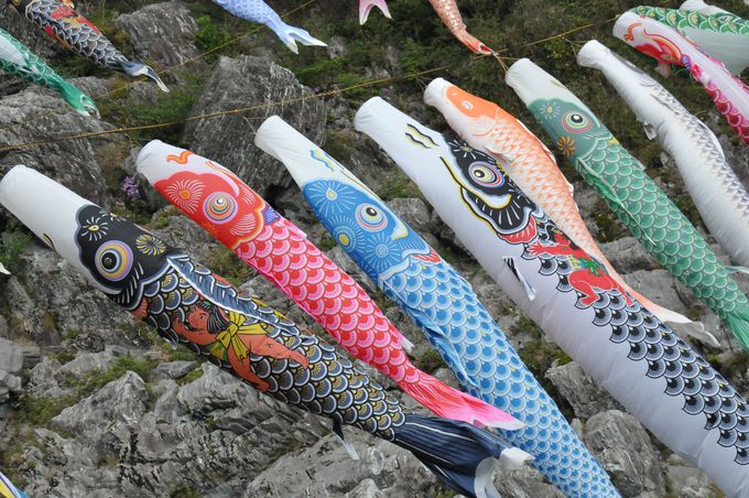 百数十匹の鯉のぼりが泳ぐ吉野川の景勝地、四国の秘境・大歩危峡！ | 徳島県 | トラベルjp 旅行ガイド