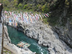 百数十匹の鯉のぼりが泳ぐ吉野川の景勝地、四国の秘境・大歩危峡！