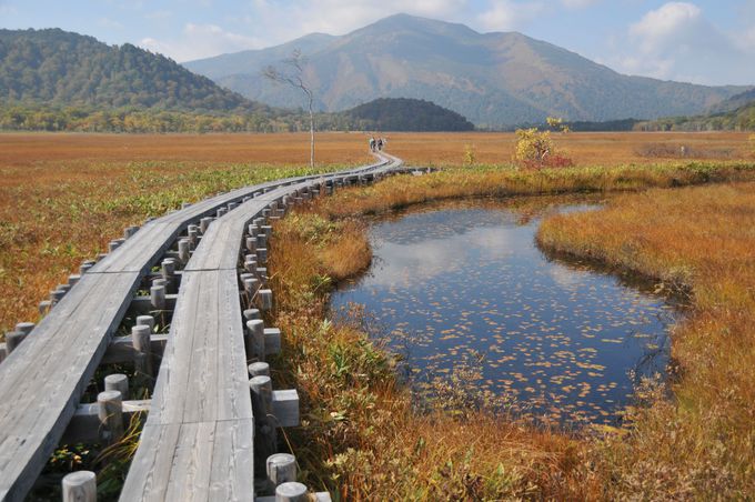 美しすぎる自然美の世界！日本有数の高層湿原「尾瀬国立公園」
