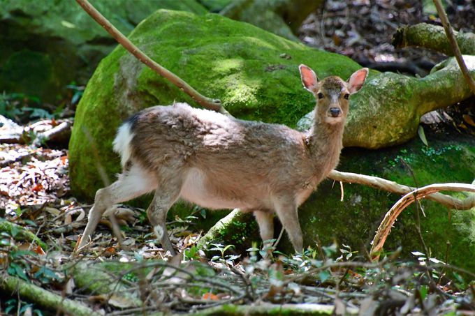 �����ѓ�