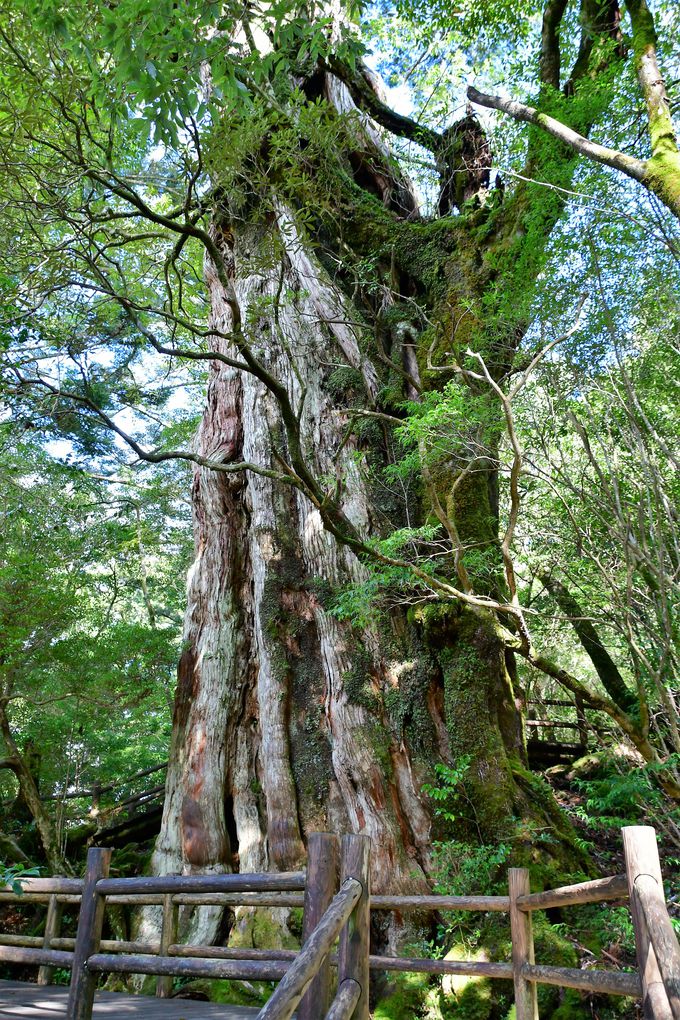 ���N�X�M�����h�ƋI����