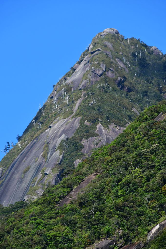 ��q�̑�ƃ��b�`�����x