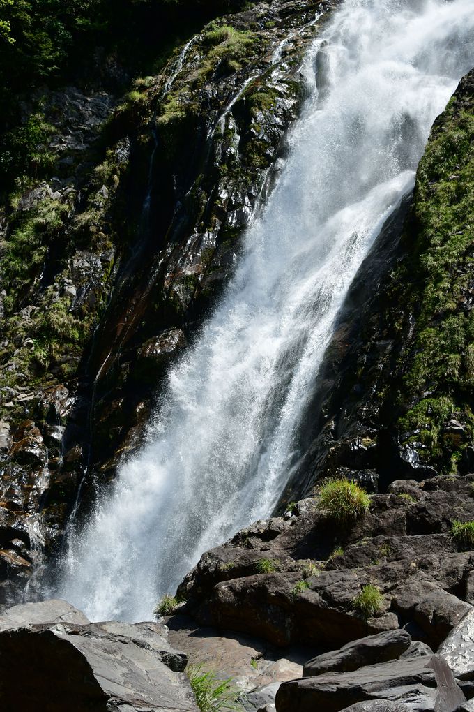 ���ԃK�W���}���Ƒ��̑�