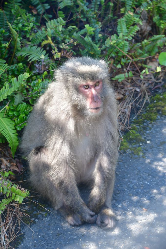 �����ѓ�