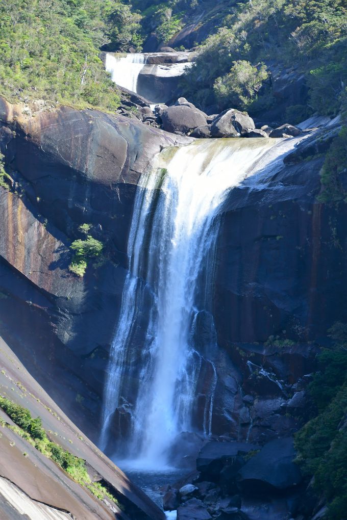 ��q�̑�ƃ��b�`�����x