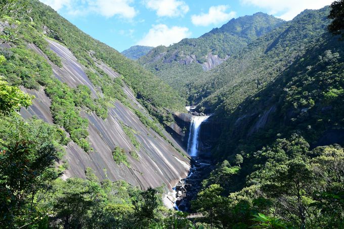 ��q�̑�ƃ��b�`�����x