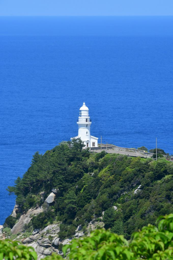 ���v������Ɖi�c���Ȃ��l