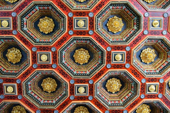 �~�[�������