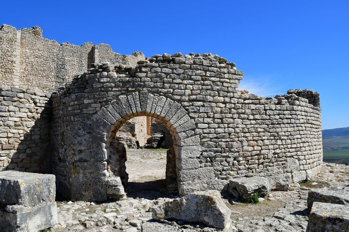 hDbK̃tHgX|bgƗEV[Ỷ