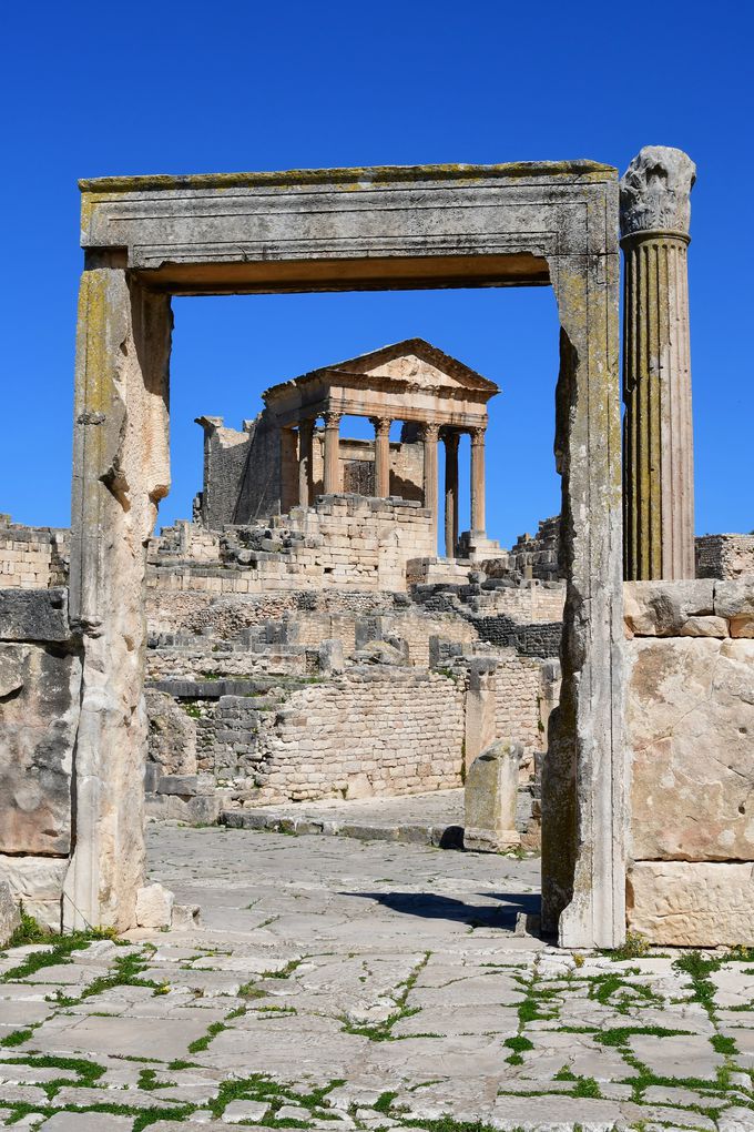 hDbK̃tHgX|bgƗEV[Ỷ