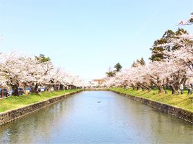 繊細優美な日本の良さ。山形県・庄内鶴岡の春夏の旅